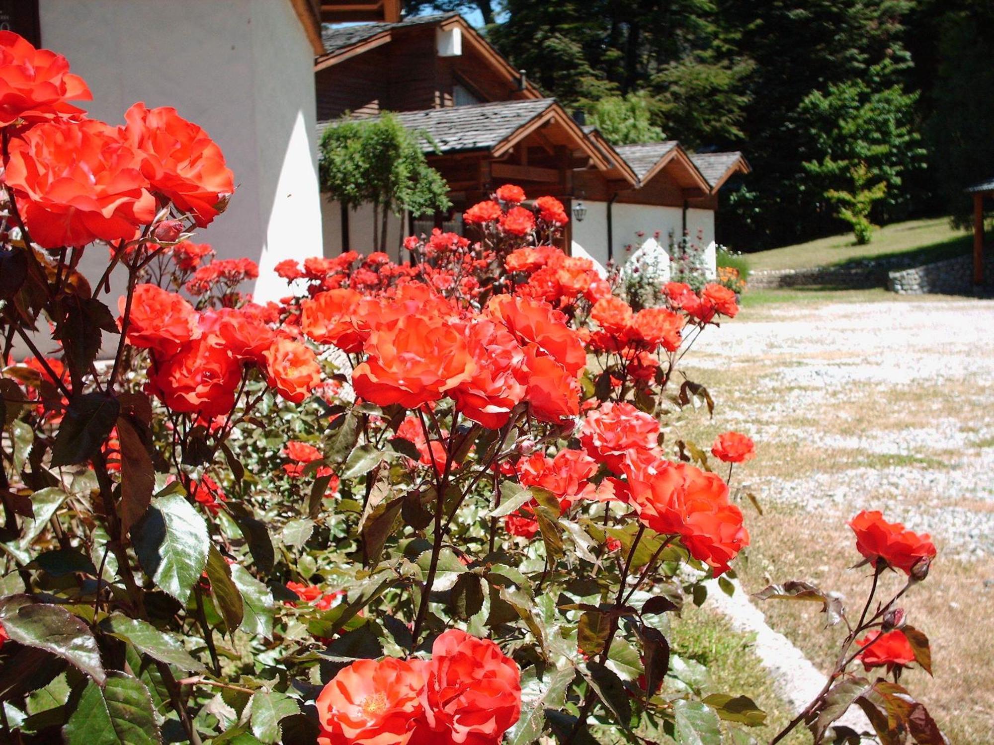 Hosteria El Condado San Carlos de Bariloche Kültér fotó